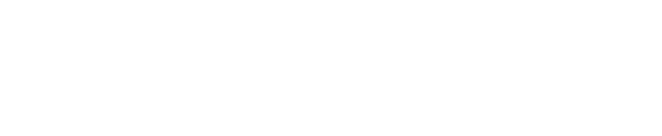 Thank You Snowboarding logo