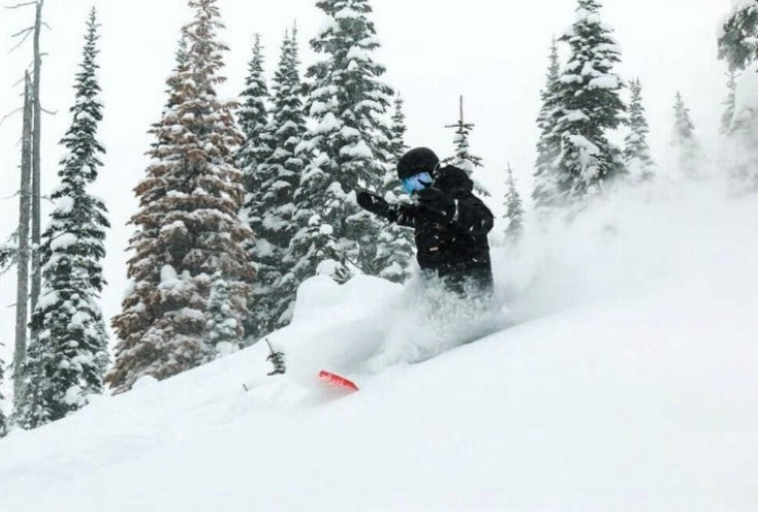 People We Appreciate & Support