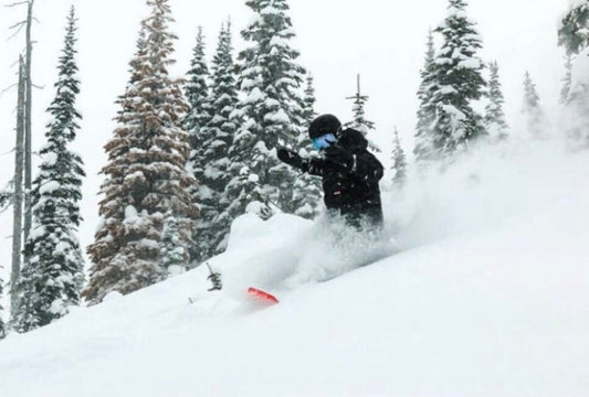 People We Appreciate & Support