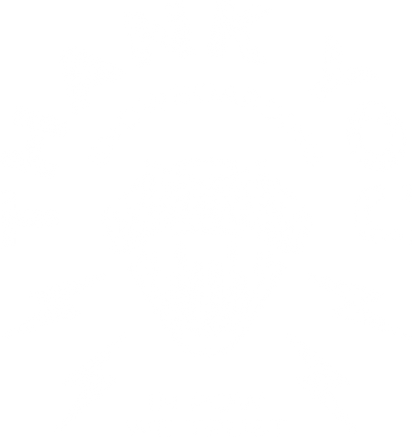 Thank You Snowboarding 